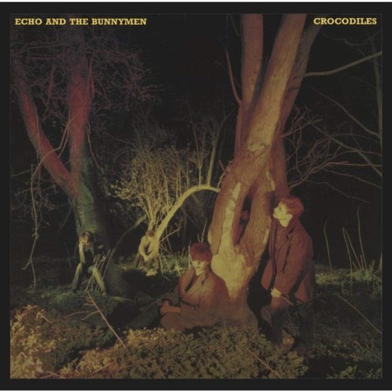 Crocodiles